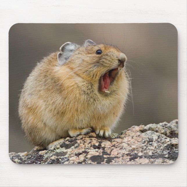 Öffnen Sie sich weit Mousepad (Vorne)