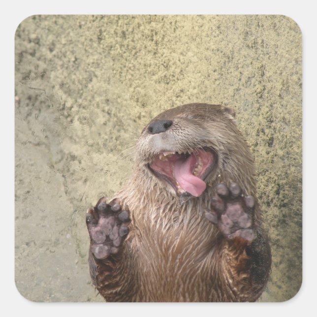 Öffnen Sie weit! Otter Stickers (Vorderseite)