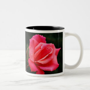 Öffnungs-Rose Zweifarbige Tasse