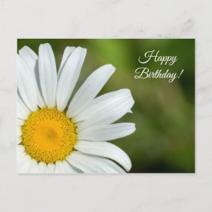 Offset Daisy Happy Birthday Postcard Postkarte