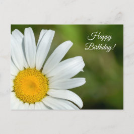 Offset Daisy Happy Birthday Postcard Postkarte