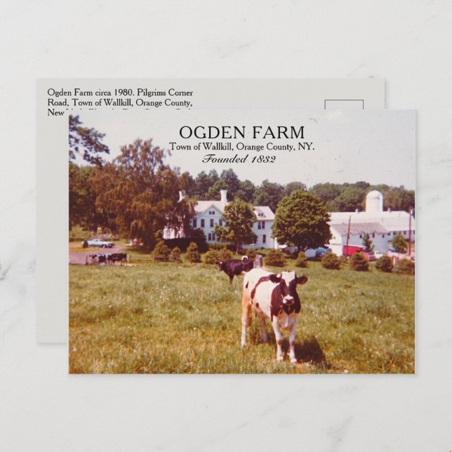 Ogden Farm Town of Wallkill Orange Landkreis NY 19 Postkarte (Vorne/Hinten)