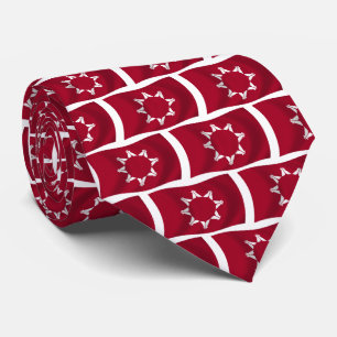 Oglala Lakota Flag Tie Krawatte