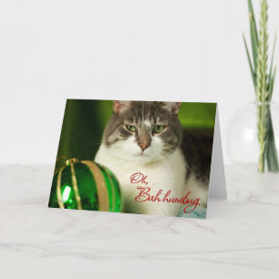 Oh, Bah Humbug-Katzen-Karte Feiertagskarte