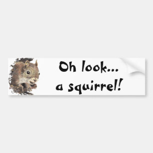 Oh Blick… ein Eichhörnchen! Aufmerksamkeits-Spaß Autoaufkleber
