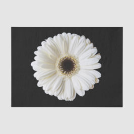 Oh, Daisy! Dekoupage Tissue Paper Seidenpapier