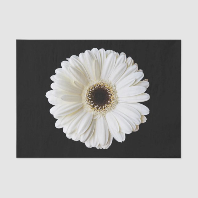 Oh, Daisy! Dekoupage Tissue Paper Seidenpapier (Vorderseite)