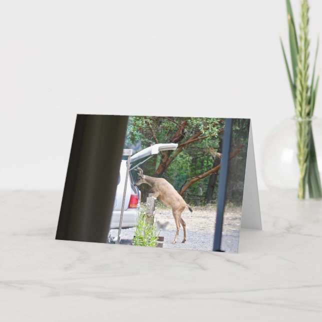 Oh, Deer! Karte (Vorderseite)