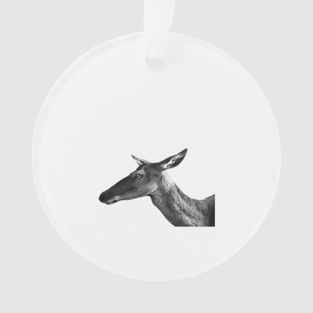Oh Deer Modern Aesthetic Vibe Acrylic Ornament (Vorderseite)
