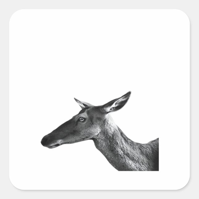 Oh Deer Modern Aesthetic Vibe  Quadratischer Aufkleber (Vorderseite)