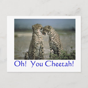 Oh!  Du Gepard! Postkarte