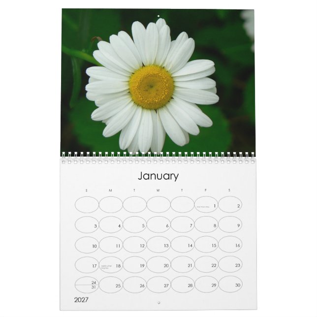 Oh Gänseblümchen-Wandkalender Kalender (Jan 2027)