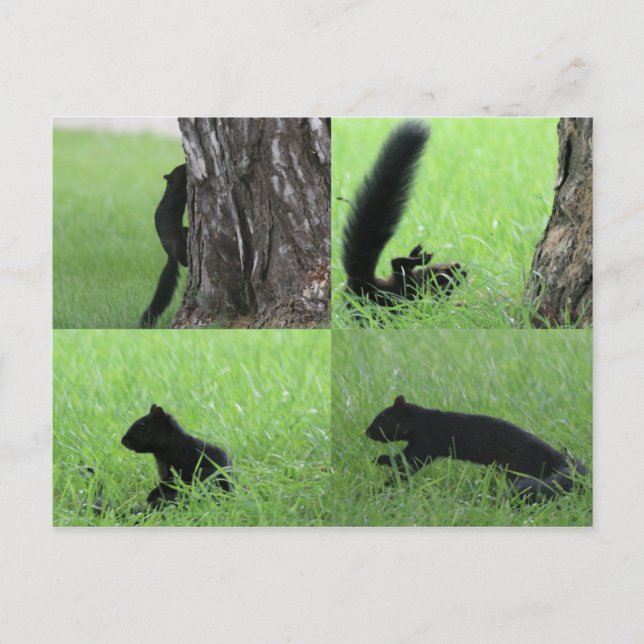 Oh geez Postkarte (Vorderseite)