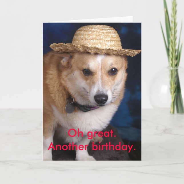 Oh groß. Ein anderer Geburtstag Karte (Vorderseite)