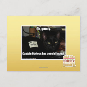 Oh, gute Sachen Postkarte