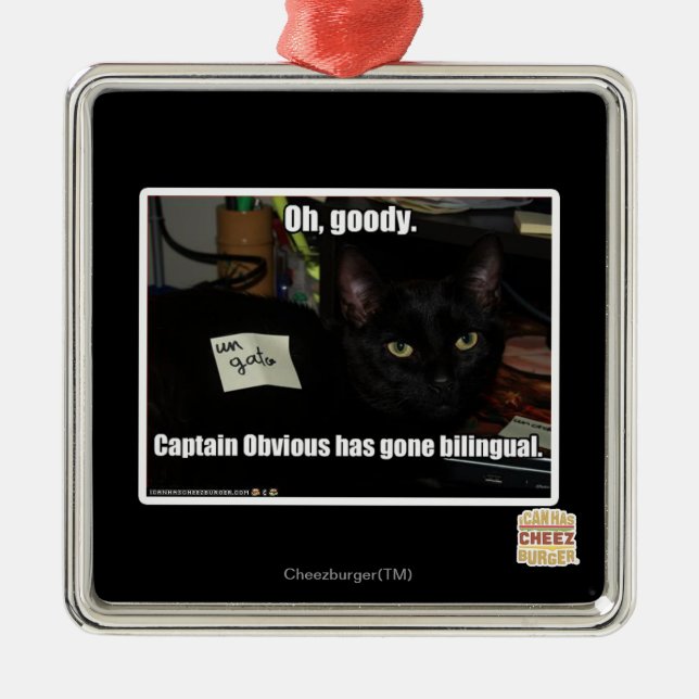 Oh, gute Sachen Silbernes Ornament (Vorne)