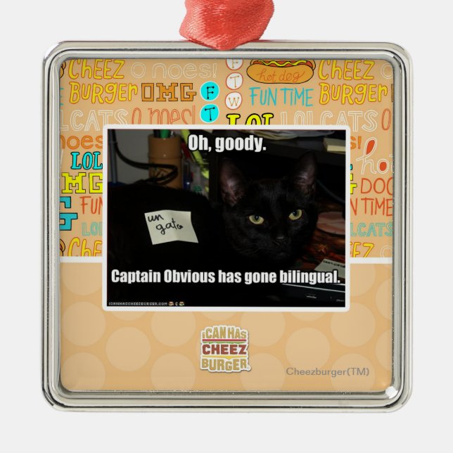 Oh, gute Sachen Silbernes Ornament (Vorne)