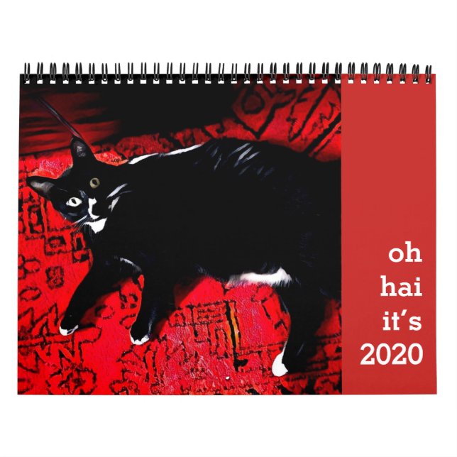 Oh Hai Cat Calendar Kalender (Titelbild)
