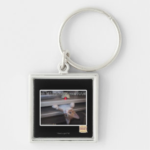 oh hallo verbesserte ich Ihr RAM Schlüsselanhänger