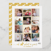 Oh Hirsche, was ein Jahr in Überprüfung Foto Colla