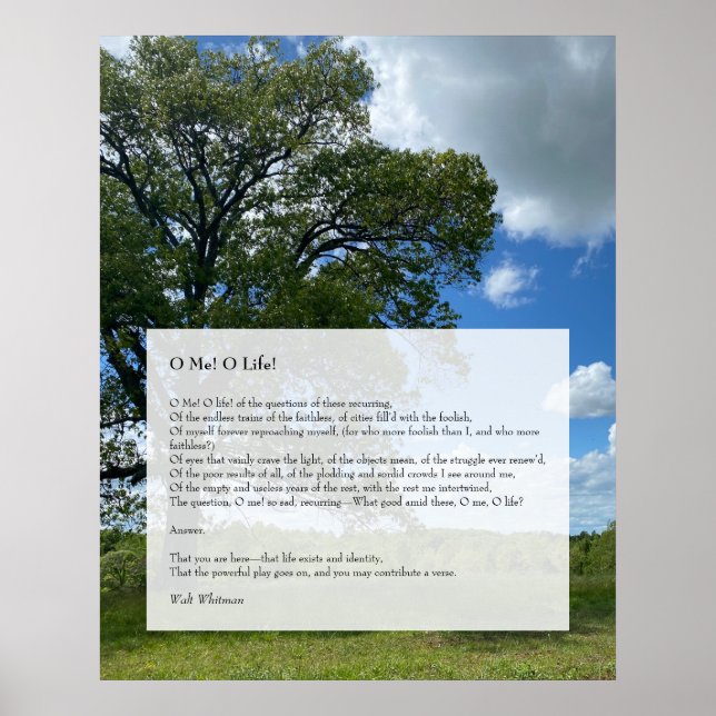 Oh, ich! Oh, das Leben! Walt Whitman Poem, Tree &  Poster (Vorne)