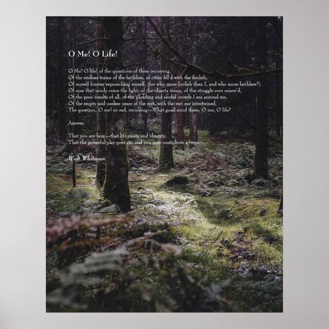 Oh, ich! Oh, das Leben! Walt Whitman Poem Wooded P Poster (Vorne)