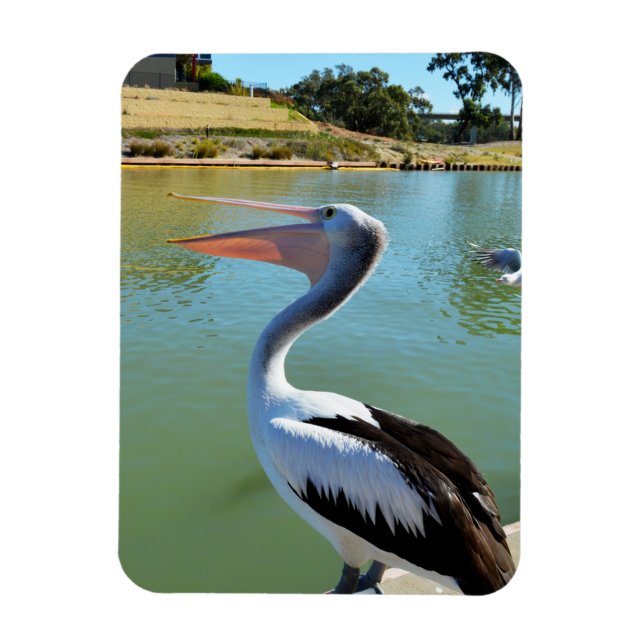 Oh Im a Happy Pelican Tra Lah, Magnet (Vertikal)