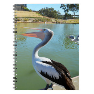 Oh Im A Happy Pelican Tra Lah, Notebook Notizblock