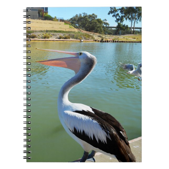 Oh Im A Happy Pelican Tra Lah, Notebook Notizblock (Vorderseite)