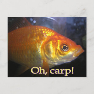 Oh, Karpfen! Postkarte