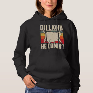 Oh Lawi He Comin' Retro Style Vintag Cat Meme Hoodie
