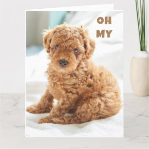 OH MEIN ES IST DEIN GEBURTSTAG SO GLÜCKLICH FÜR DI KARTE