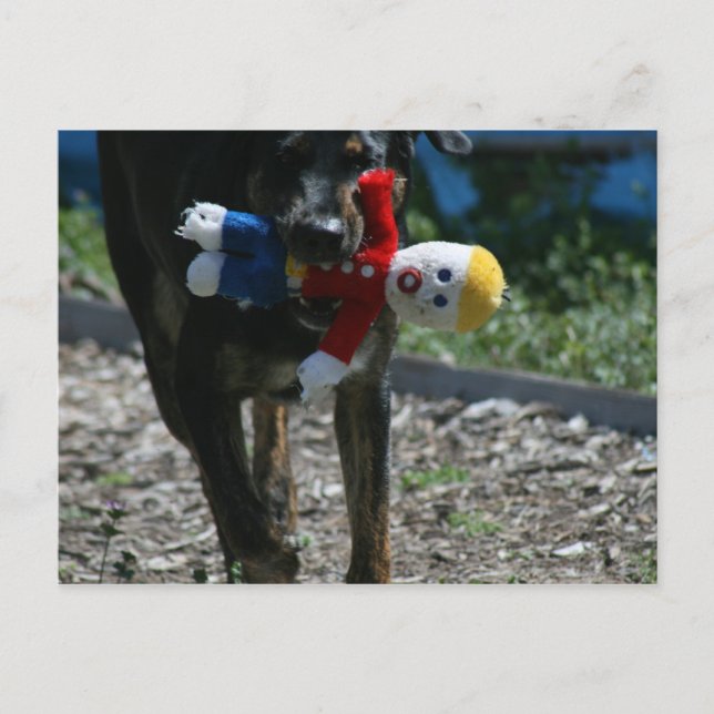 Oh-No Mr. Bill Postcard Postkarte (Vorderseite)