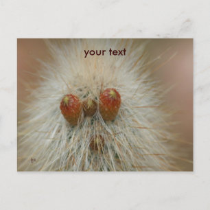 Oh Postkarte