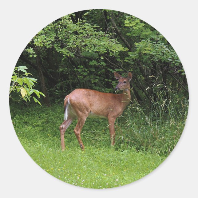 Oh Rotwild! Runder Aufkleber (Vorderseite)