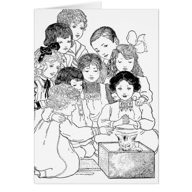 Oh schau, Kätzchen (Vorne)