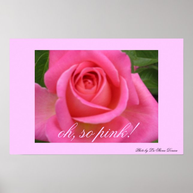 Oh, so pink! poster (Vorne)
