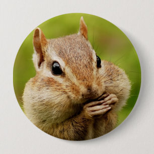 Oh so unverschämter Chipmunk-runder Knopf Button