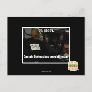 Oh, verdammt. postkarte