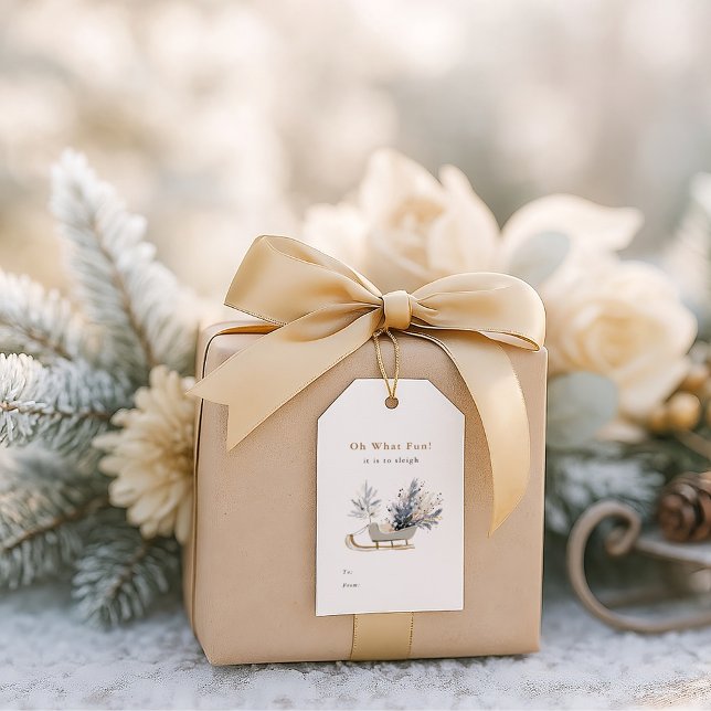 Oh, was Spaß Winter Sleigh Floral Weihnachten Geschenkanhänger (Von Creator hochgeladen)
