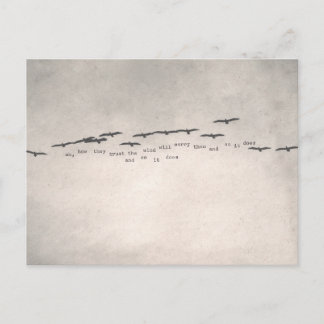 "Oh, wie They Trust" Postkarte