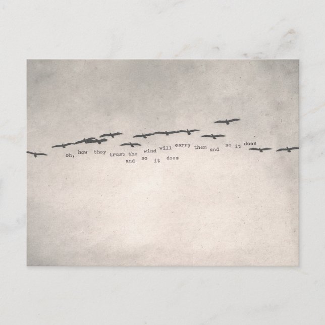 "Oh, wie They Trust" Postkarte (Vorderseite)