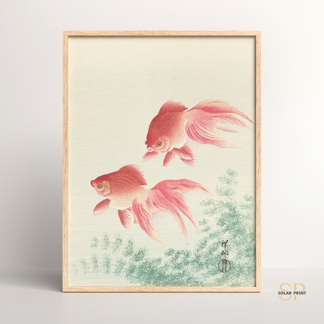 Ohara Koson Two Goldfish and Waterweed Japanisch Poster (Von Creator hochgeladen)