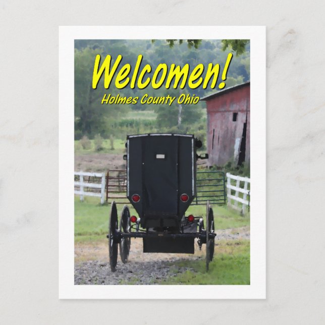 OHCA101.Amish Buggie - Holmes Co OH. Postkarte (Vorderseite)