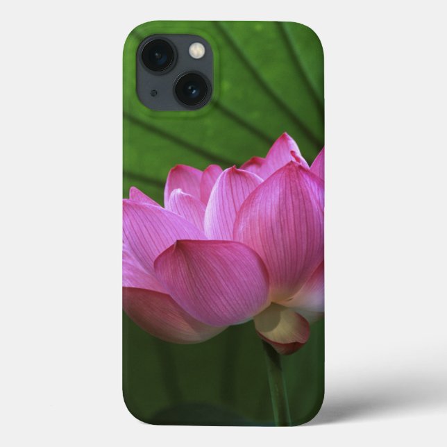 Ohga Lotus, Sankei-en Garden, Yokohama, Japan Case-Mate iPhone Hülle (Rückseite)