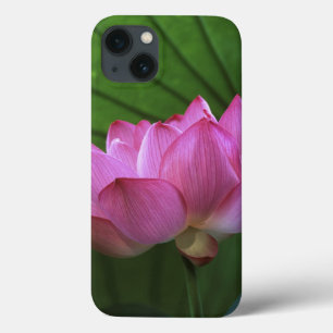 Ohga Lotus, Sankei-en Garden, Yokohama, Japan Case-Mate iPhone Hülle