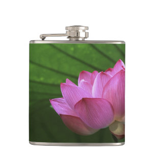 Ohga Lotus, Sankei-en Garden, Yokohama, Japan Flachmann