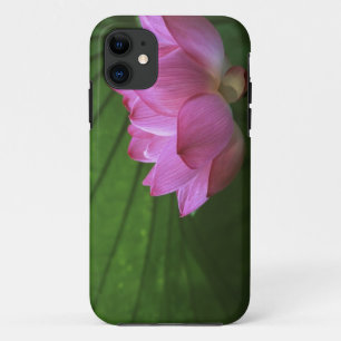 Ohga-Lotus, Sankei-en-Garten, Yokohama, Japan Case-Mate iPhone Hülle