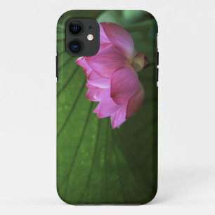 Ohga-Lotus, Sankei-en-Garten, Yokohama, Japan Case-Mate iPhone Hülle