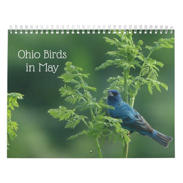 Ohio Birds im Mai Kalender (Titelbild)